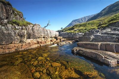 Tal Glencoe